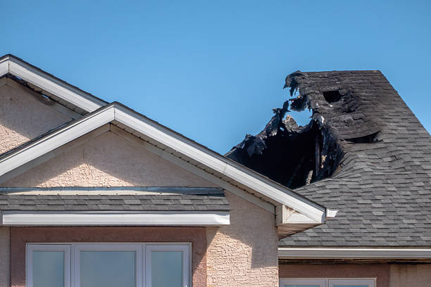 Licensed Content Restoration service in Oldsmar, FL - Fire Damage Biloxi